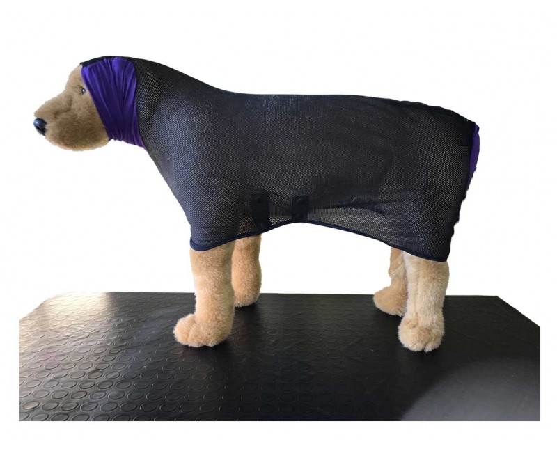 dry dog coat
